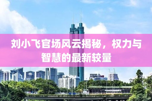 刘小飞官场风云揭秘，权力与智慧的最新较量