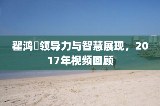 翟鸿燊领导力与智慧展现，2017年视频回顾