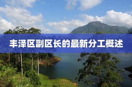 丰泽区副区长的最新分工概述
