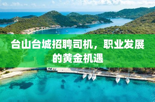 台山台城招聘司机，职业发展的黄金机遇