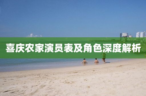 喜庆农家演员表及角色深度解析