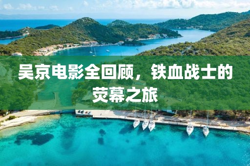 吴京电影全回顾，铁血战士的荧幕之旅