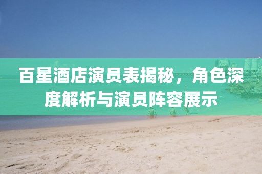 百星酒店演员表揭秘，角色深度解析与演员阵容展示