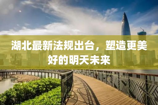 湖北最新法规出台，塑造更美好的明天未来