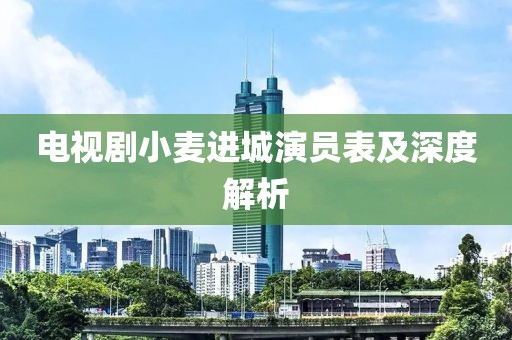 电视剧小麦进城演员表及深度解析