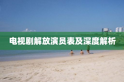 电视剧解放演员表及深度解析
