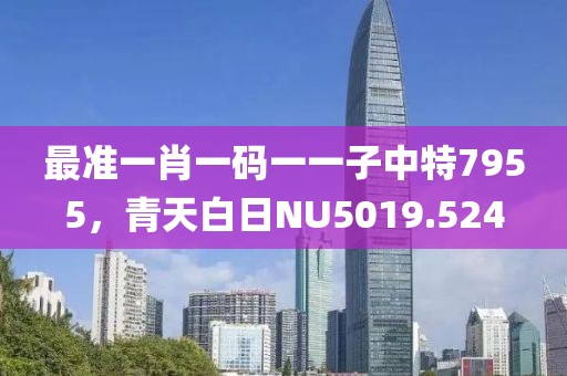 最准一肖一码一一子中特7955，青天白日NU5019.524