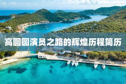 高圆圆演员之路的辉煌历程简历