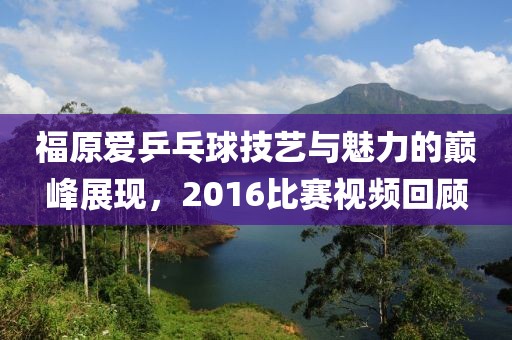 福原爱乒乓球技艺与魅力的巅峰展现，2016比赛视频回顾