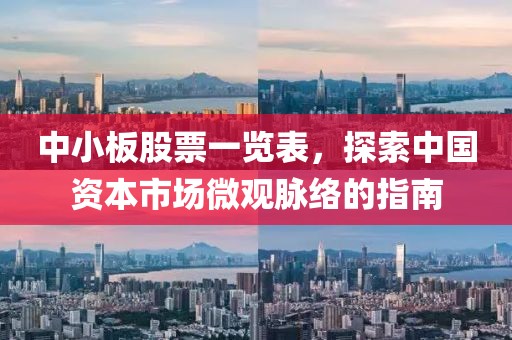 中小板股票一览表，探索中国资本市场微观脉络的指南