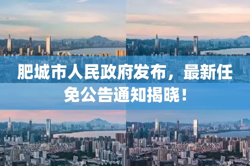 肥城市人民政府发布，最新任免公告通知揭晓！