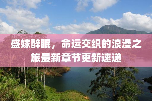 盛嫁醉眠，命运交织的浪漫之旅最新章节更新速递