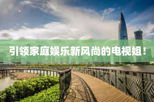 引领家庭娱乐新风尚的电视姐！