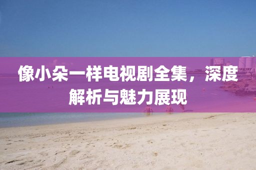 像小朵一样电视剧全集，深度解析与魅力展现