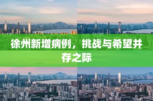 徐州新增病例，挑战与希望并存之际