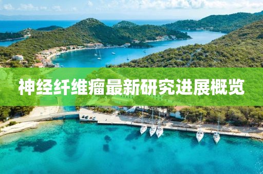 神经纤维瘤最新研究进展概览