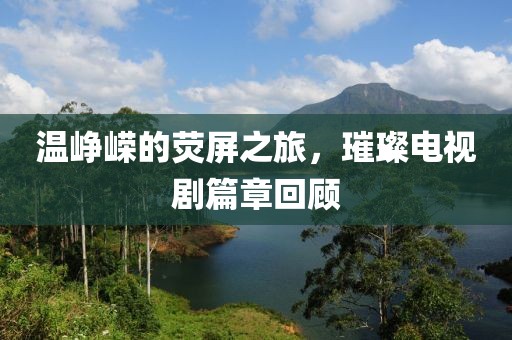 温峥嵘的荧屏之旅，璀璨电视剧篇章回顾