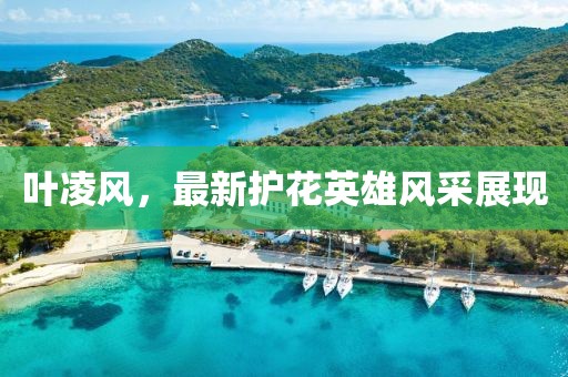 叶凌风，最新护花英雄风采展现
