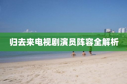 归去来电视剧演员阵容全解析