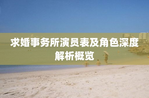 求婚事务所演员表及角色深度解析概览