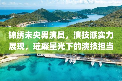 锦绣未央男演员，演技派实力展现，璀璨星光下的演技担当