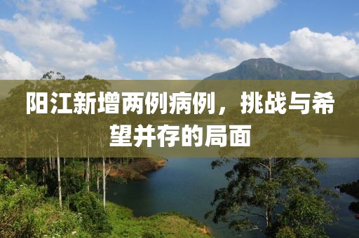 阳江新增两例病例，挑战与希望并存的局面