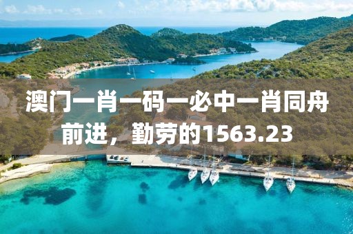澳门一肖一码一必中一肖同舟前进，勤劳的1563.23