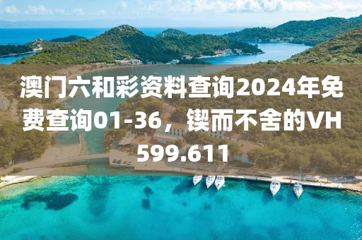 澳门六和彩资料查询2024年免费查询01-36，锲而不舍的VH599.611