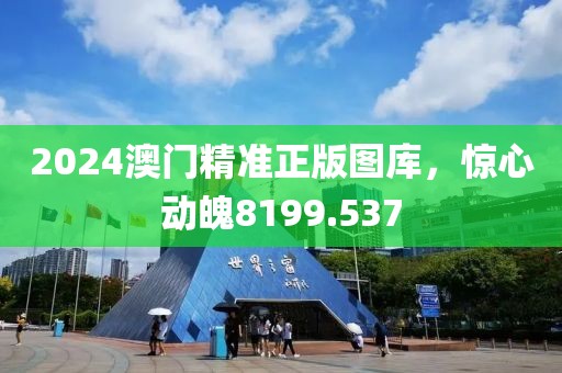 2024澳门精准正版图库，惊心动魄8199.537