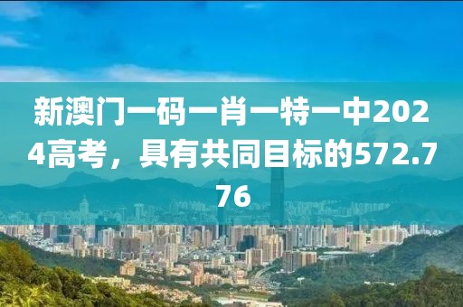 新澳门一码一肖一特一中2024高考，具有共同目标的572.776