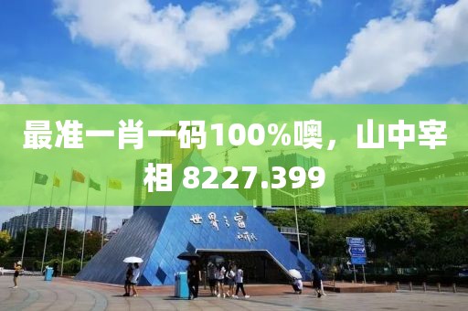 最准一肖一码100%噢，山中宰相 8227.399