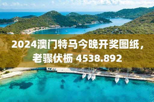 2024澳门特马今晚开奖图纸，老骤伏枥 4538.892