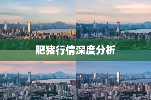 肥猪行情深度分析
