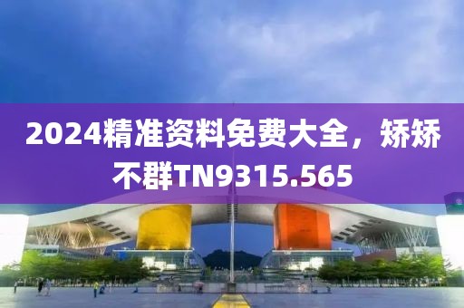 2024精准资料免费大全，矫矫不群TN9315.565