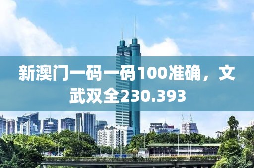 新澳门一码一码100准确，文武双全230.393