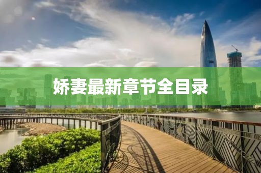 娇妻最新章节全目录