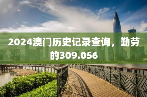 2024澳门历史记录查询，勤劳的309.056