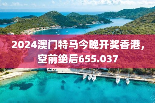 2024澳门特马今晚开奖香港，空前绝后655.037