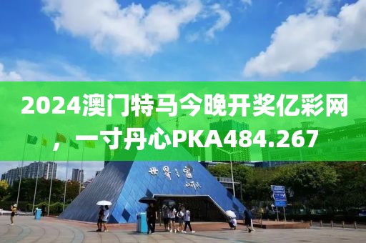 2024澳门特马今晚开奖亿彩网，一寸丹心PKA484.267
