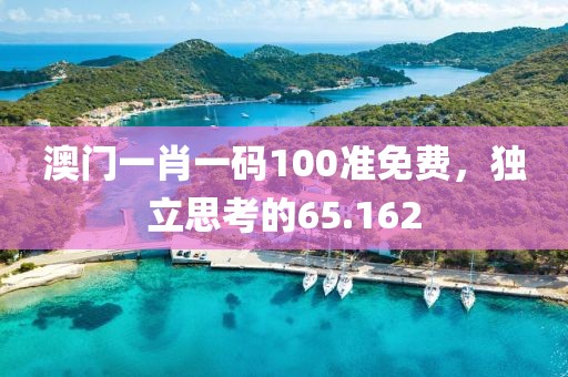 澳门一肖一码100准免费，独立思考的65.162