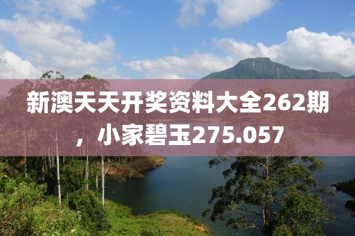 新澳天天开奖资料大全262期，小家碧玉275.057