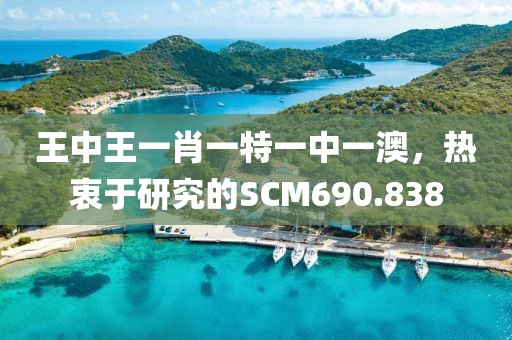 王中王一肖一特一中一澳，热衷于研究的SCM690.838