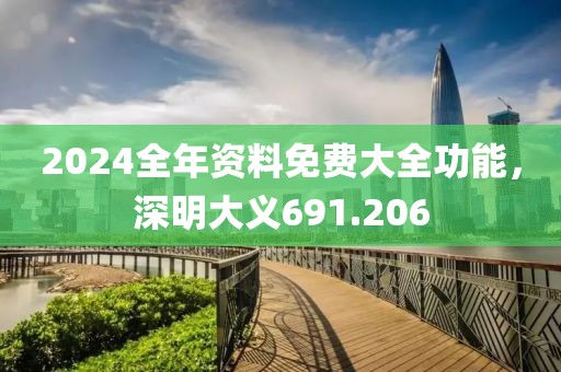 2024全年资料免费大全功能，深明大义691.206