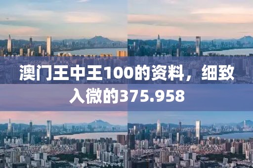 澳门王中王100的资料，细致入微的375.958