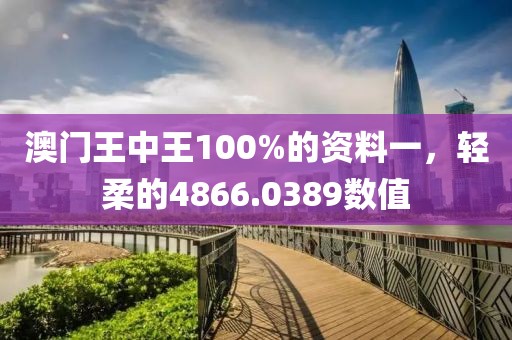 澳门王中王100%的资料一，轻柔的4866.0389数值