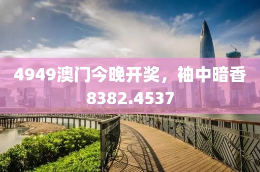 4949澳门今晚开奖，袖中暗香8382.4537