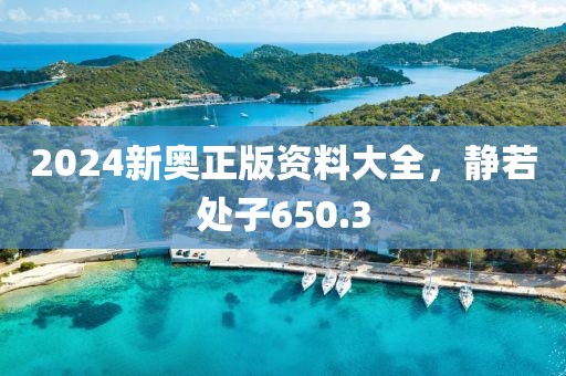 2024新奥正版资料大全，静若处子650.3