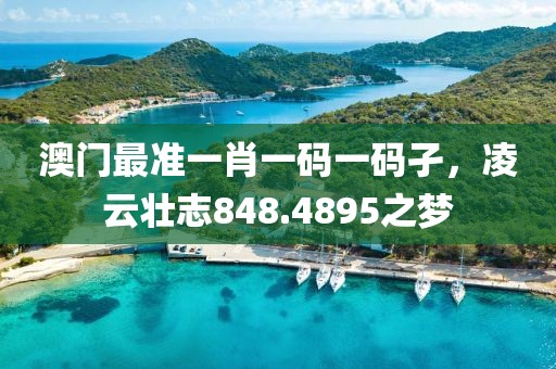 澳门最准一肖一码一码孑，凌云壮志848.4895之梦