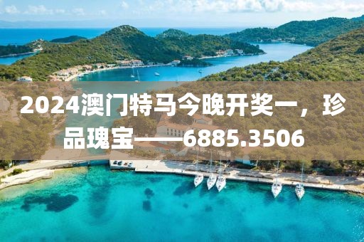 2024澳门特马今晚开奖一，珍品瑰宝——6885.3506