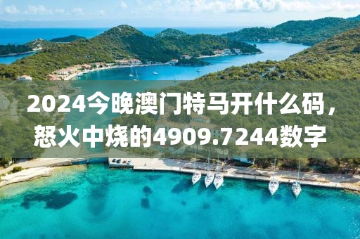 2024今晚澳门特马开什么码，怒火中烧的4909.7244数字